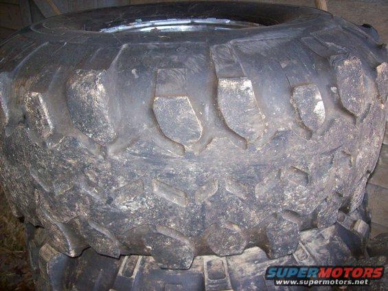 mustang-pics-jan-09-006.jpg