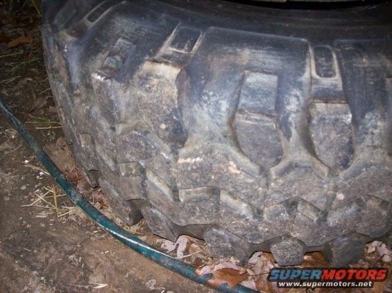 mustang-pics-jan-09-008.jpg