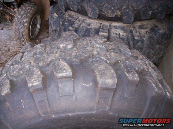mustang-pics-jan-09-010.jpg