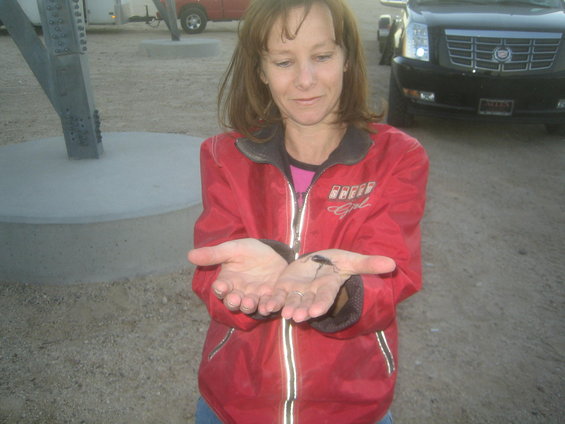 img_8503.jpg Rory shows no fear!
