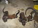 1978 Ford Bronco - Two power steering components are shown on a concrete surface, possibly for repair or replacement.