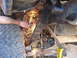 1978 Ford Bronco - A person modifies a vehicle's suspension system by cutting a leaf spring with an angle grinder.
