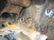 1978 Ford Bronco - Detail of heavily rusted vehicle frame components, showing signs of repair and wear.