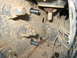 1978 Ford Bronco - A close-up view of a vehicle's rusty frame shows new bolts and a bundle of wires.