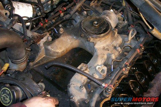 100_2778.jpg