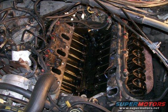 100_2781.jpg 