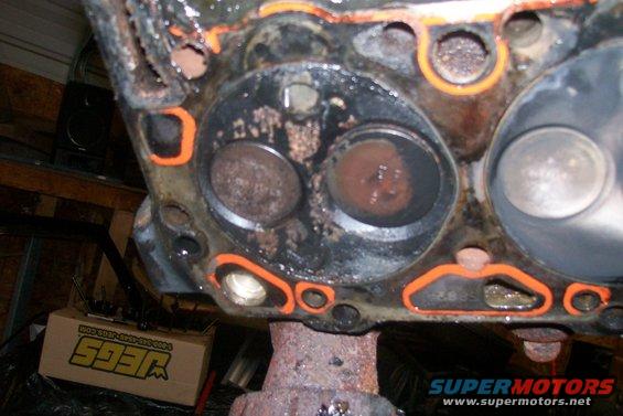 Engine cylinder head with valves and orange gasket material visible. JEGS box in background