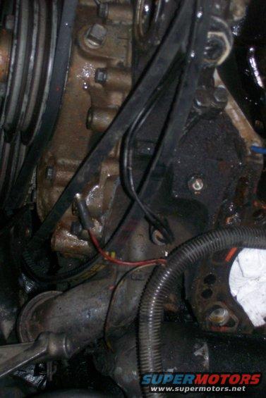 Engine block with belts and hoses. Water pump visible
