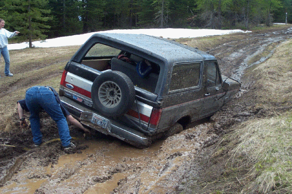 backside06.gif 