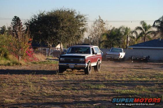 broncoyard1.jpg in the yard