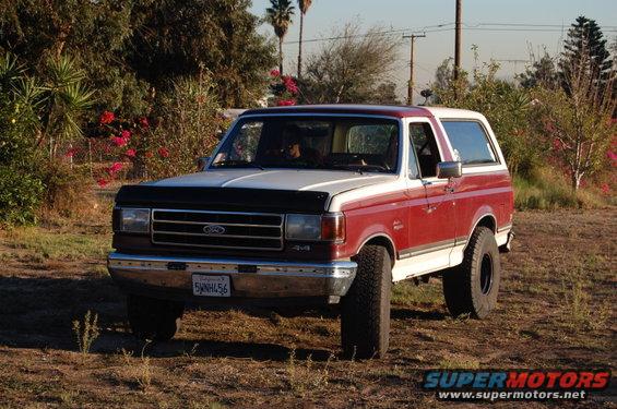 In the Yard zoom