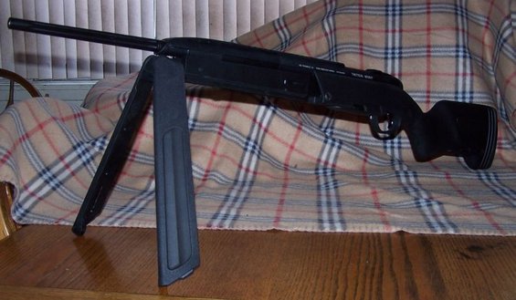 100_2464a.jpg 