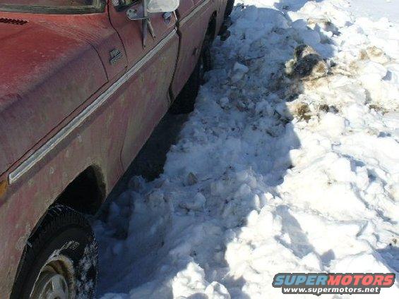1978 Ford F-150 side view, parked in snow