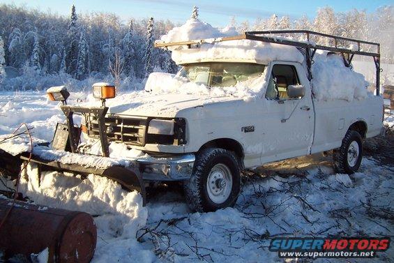 100_3785.jpg 