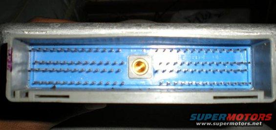 Engine control module connector with blue plastic housing and gold pins
