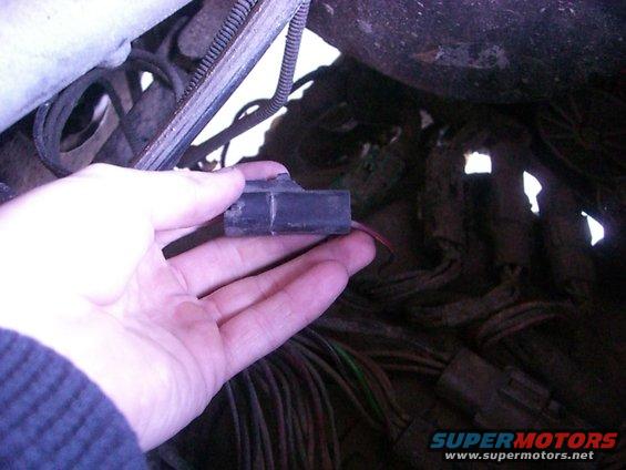 bronc-014.jpg lost plug?