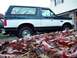 1995 Ford Bronco - Side view of a two-tone 1995 Ford Bronco with fallen leaves in the foreground.