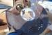 1990 Ford Bronco - A person is holding a removed brake dust shield next to a vehicle's hub assembly.