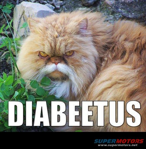 Orange cat with white mustache and text DIABEETUS
