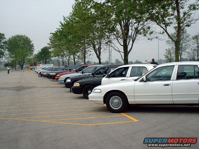Line of white and black Ford Crown Victoria police cars parked in a lot
