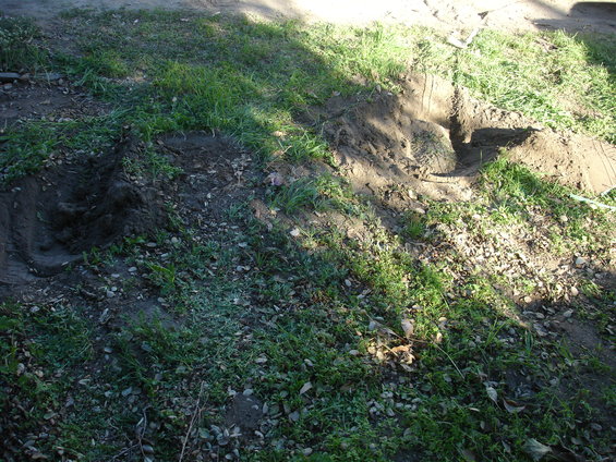 dsc00569.jpg 