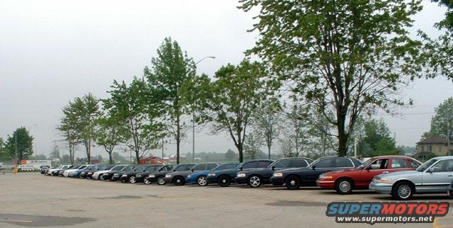 Line of dark Ford Crown Victoria police cars parked side-by-side