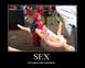 Sex