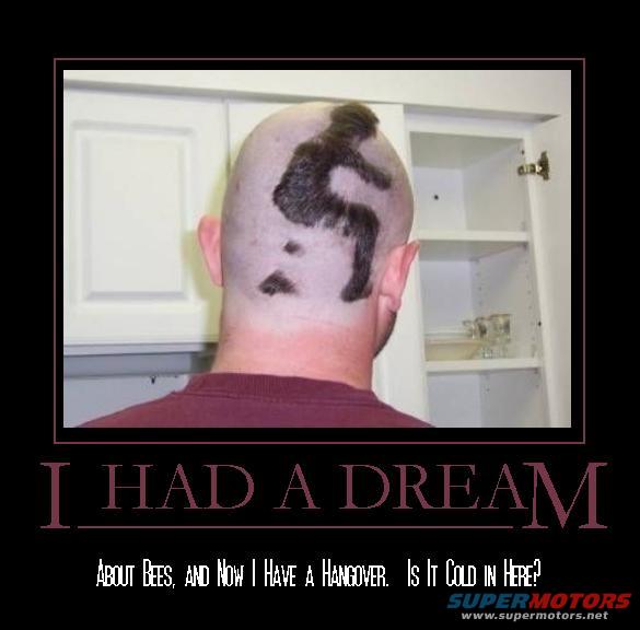 shithead.jpg I Had a Dream