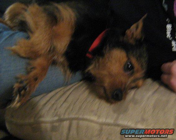 img_0188.jpg 1-9-09