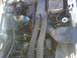 1995 Ford Bronco - engine right; new wires, cap/rotor, fan clutch, water pump.