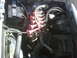 1995 Ford Bronco - engine left. thats a dixie horn.