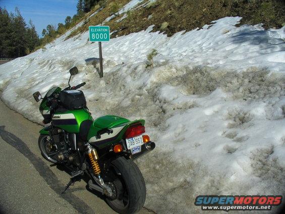 8000 feet and snow