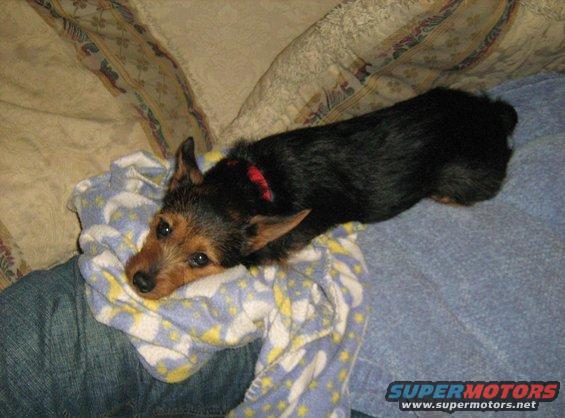 img_0200.jpg 1-20-09