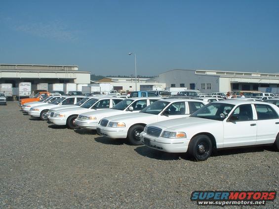 A row of retired Washington State Patrol cars ready to be auctioned off.