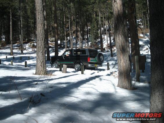 1993 Ford Bronco parked on a snowy path surrounded by pine trees