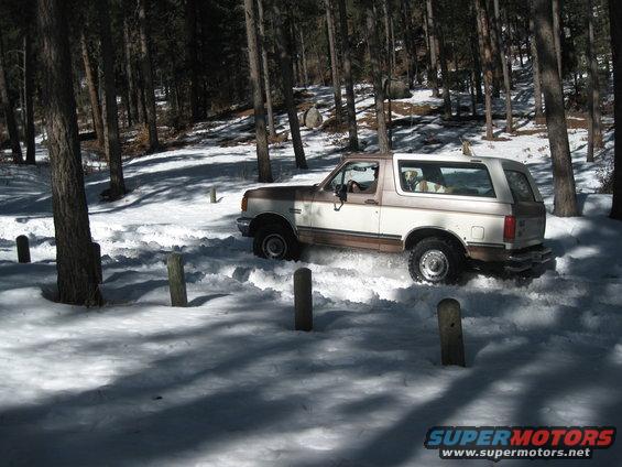 Two-tone Ford Bronco driving through snow in a wooded area. Dog visible in the back seat