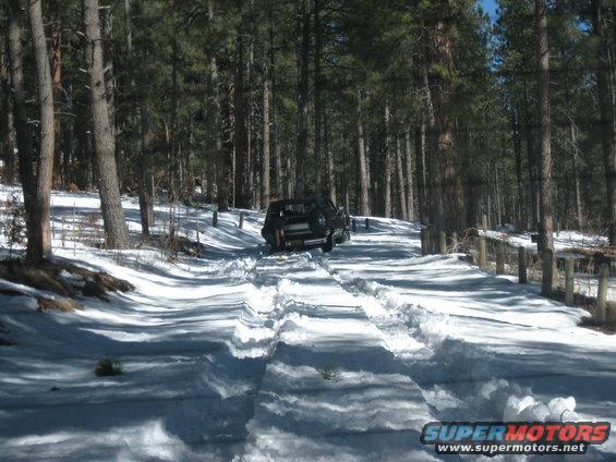 Black SUV on snowy forest road, rear view