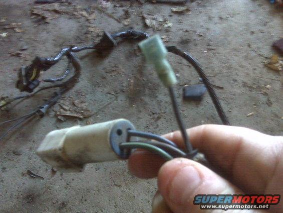 ground-plug-for-tailgate.jpg