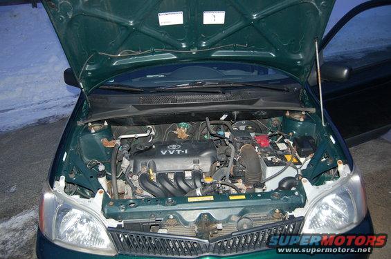 Green 2001 Toyota Echo engine bay with hood open, showing VVT-i engine, battery, and front grille