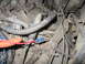 1989 Ford Bronco - A close-up view of a complex vehicle wiring harness, showing numerous wires and connectors.