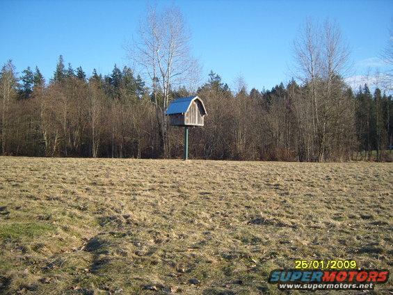 s1031463.jpg