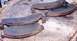 1990 Ford Bronco - Used brake pads are shown on a wooden surface, indicating wear and tear.
