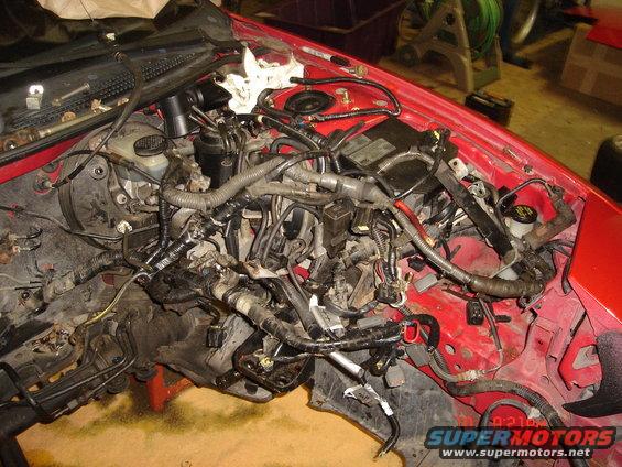 Engine bay of a car with extensive wiring and components visible
