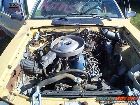 82-banana-011.jpg before tharapy