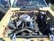 1982 Ford Mustang - before tharapy