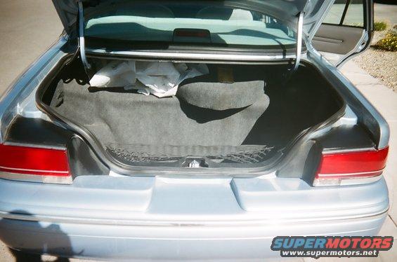 Huge trunk
