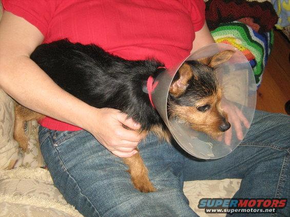 img_0208.jpg 1-31-09