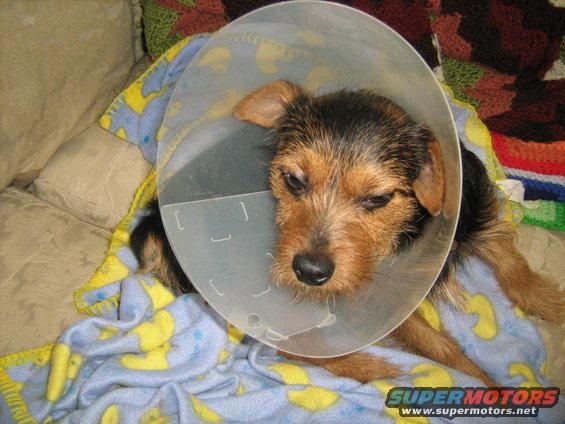 img_0218.jpg 1-31-09