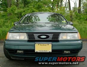 po_grill_sig1.jpg police grille