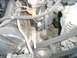 2000 Mercury Grand Marquis - This image shows a section of a vehicle's engine bay, focusing on the serpentine belt and associated pulleys.